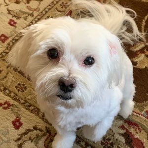 Meet your Posher, Beth